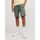 Kleidung Jungen Shorts / Bermudas Jack & Jones 12254196 VESTERBRO SWEAT SHORTS-LAUREN WREATH Grün