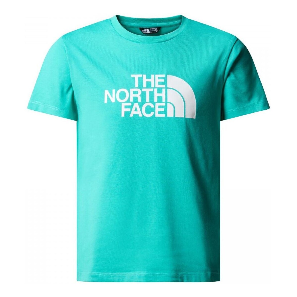 Kleidung Kinder T-Shirts & Poloshirts The North Face NF0A87T6 B S/S EASY TEE-PIN GEYSER Blau
