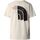 Kleidung Damen T-Shirts & Poloshirts The North Face NF0A87F0 W GRAPHIC TEE-QLI WHITE DUNE Weiss