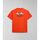 Kleidung Herren T-Shirts & Poloshirts Napapijri S-TAHI NPA4HQA-A63 ORANGE SPICY Orange