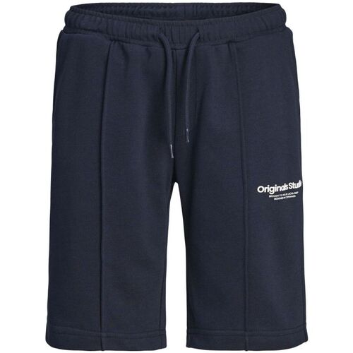 Kleidung Jungen Shorts / Bermudas Jack & Jones 12254196 VESTERBRO SWEAT SHORTS-SKY CAPTAIN Blau
