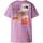 Kleidung Herren T-Shirts & Poloshirts The North Face NF0A882V W FOUNDATION MOUNTAIN-PO2 MINERAL PURPLE Violett