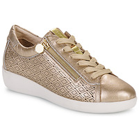 Schuhe Damen Sneaker Low Stonefly PASEO IV 29 LAMINATED LTH Gold