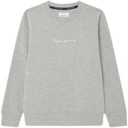 Kleidung Jungen Sweatshirts Pepe jeans  Grau