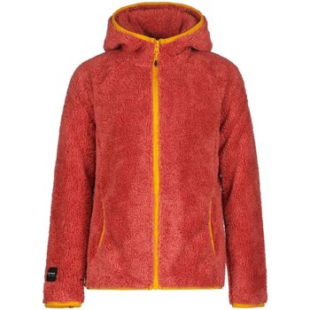 Kleidung Jungen Sweatshirts Icepeak Sport  LOA JR 451884638I/660 Rot