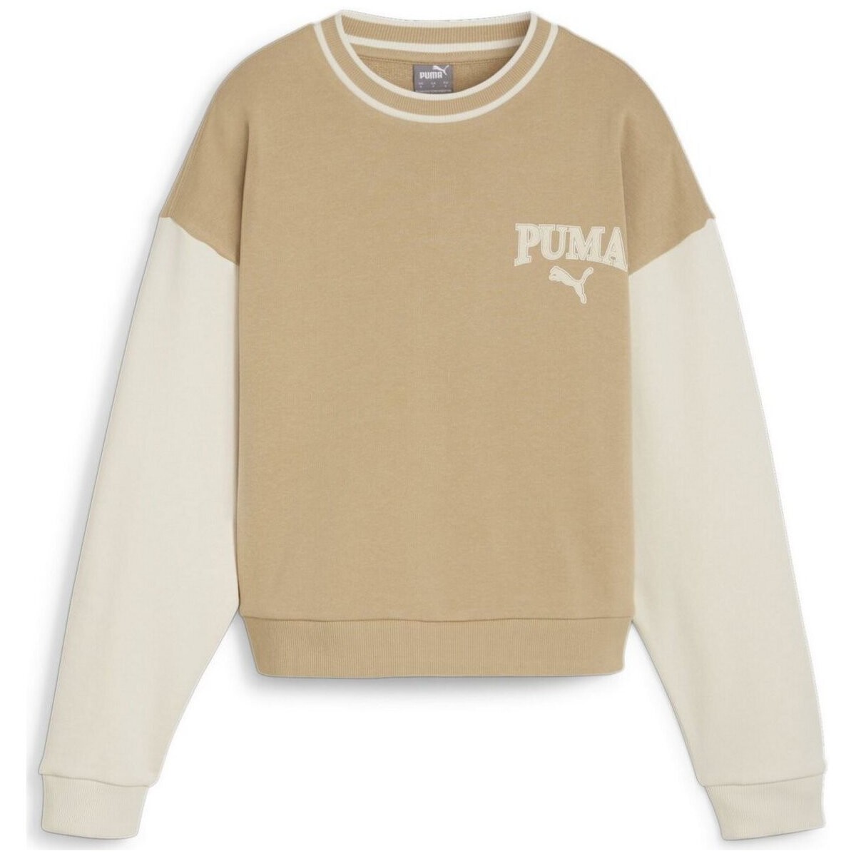Kleidung Damen Sweatshirts Puma Sport  SQUAD Crew TR 677898/083 Braun