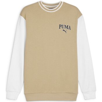 Kleidung Herren Pullover Puma Sport  SQUAD Crew TR 678970/083 Braun