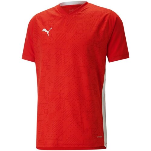 Kleidung Herren T-Shirts Puma Sport teamCUP Jersey 705370/001 Rot