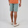 Kleidung Herren Shorts / Bermudas Oxbow Short chino ONAGH Grün