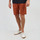 Kleidung Herren Shorts / Bermudas Oxbow Short chino ONAGH Braun