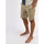 Kleidung Herren Shorts / Bermudas Oxbow Short chino ONAGHEL Braun