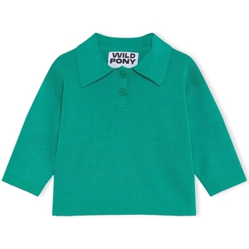 Kleidung Damen Pullover Wild Pony Knit 10603 - Green Grün
