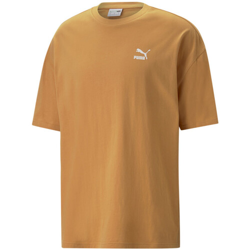 Kleidung Herren T-Shirts & Poloshirts Puma 538070-30 Orange