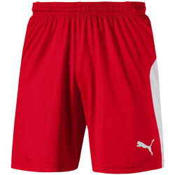 Kleidung Herren Shorts / Bermudas Puma 703431-01 Rot