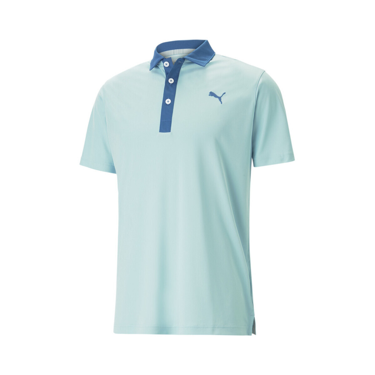 Kleidung Herren T-Shirts & Poloshirts Puma 599118-31 Blau