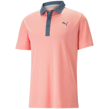Kleidung Herren T-Shirts & Poloshirts Puma 599118-29 Rosa