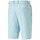 Kleidung Herren Shorts / Bermudas Puma 535522-16 Blau