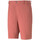 Kleidung Herren Shorts / Bermudas Puma 535522-18 Rot