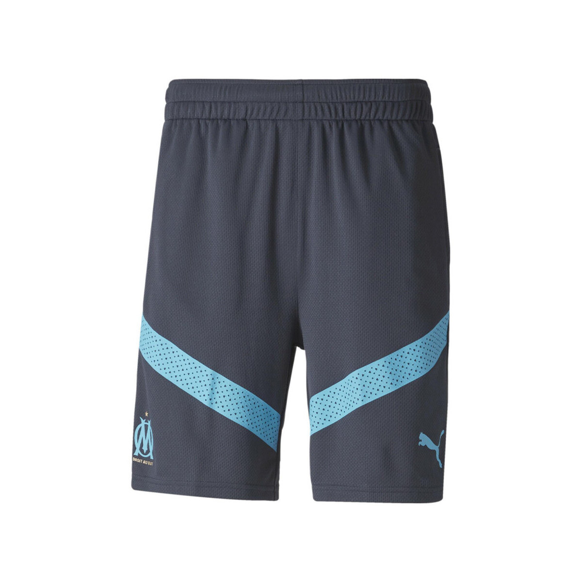 Kleidung Herren Shorts / Bermudas Puma 767274-02 Blau