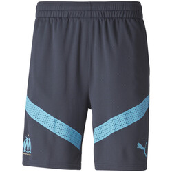 Kleidung Herren Shorts / Bermudas Puma 767295-02 Blau