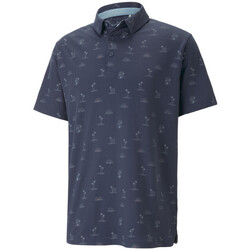 Kleidung Herren T-Shirts & Poloshirts Puma 538756-02 Blau