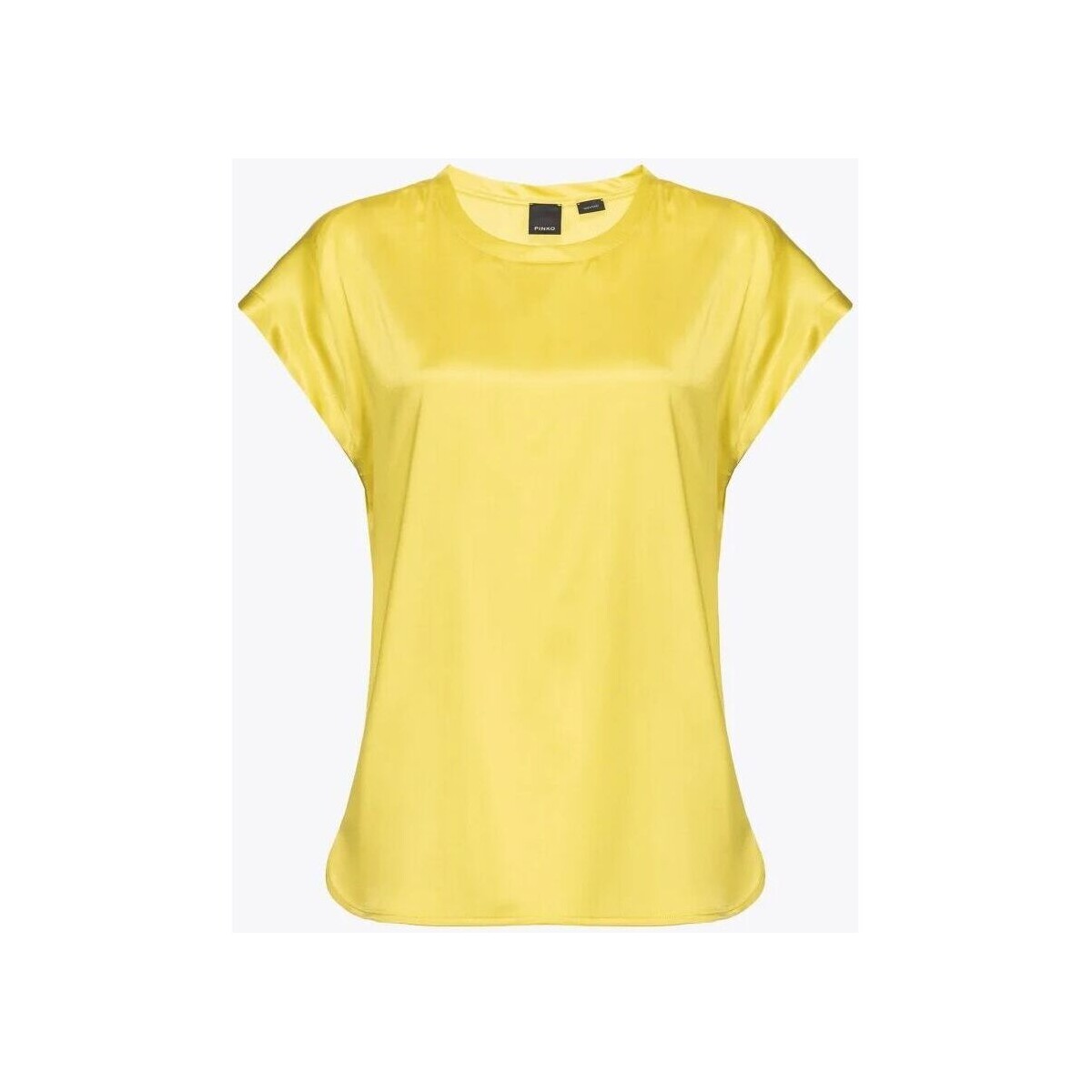 Kleidung Damen Hemden Pinko FARIDA 100100 A1RJ-H17 Gelb