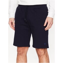 Kleidung Herren Shorts / Bermudas Guess Z2YD04 KAIJ1 Blau