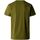 Kleidung Herren T-Shirts & Poloshirts The North Face NF0A87NG M SS SIMPLE DOME-PIB FORREST GREEN Grün