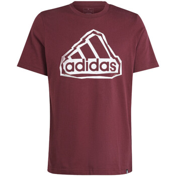 Kleidung Herren T-Shirts adidas Originals IM8302 Bordeaux