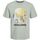 Kleidung Jungen T-Shirts & Poloshirts Jack & Jones 12249870 NAVIN-DESERT SAGE Grün