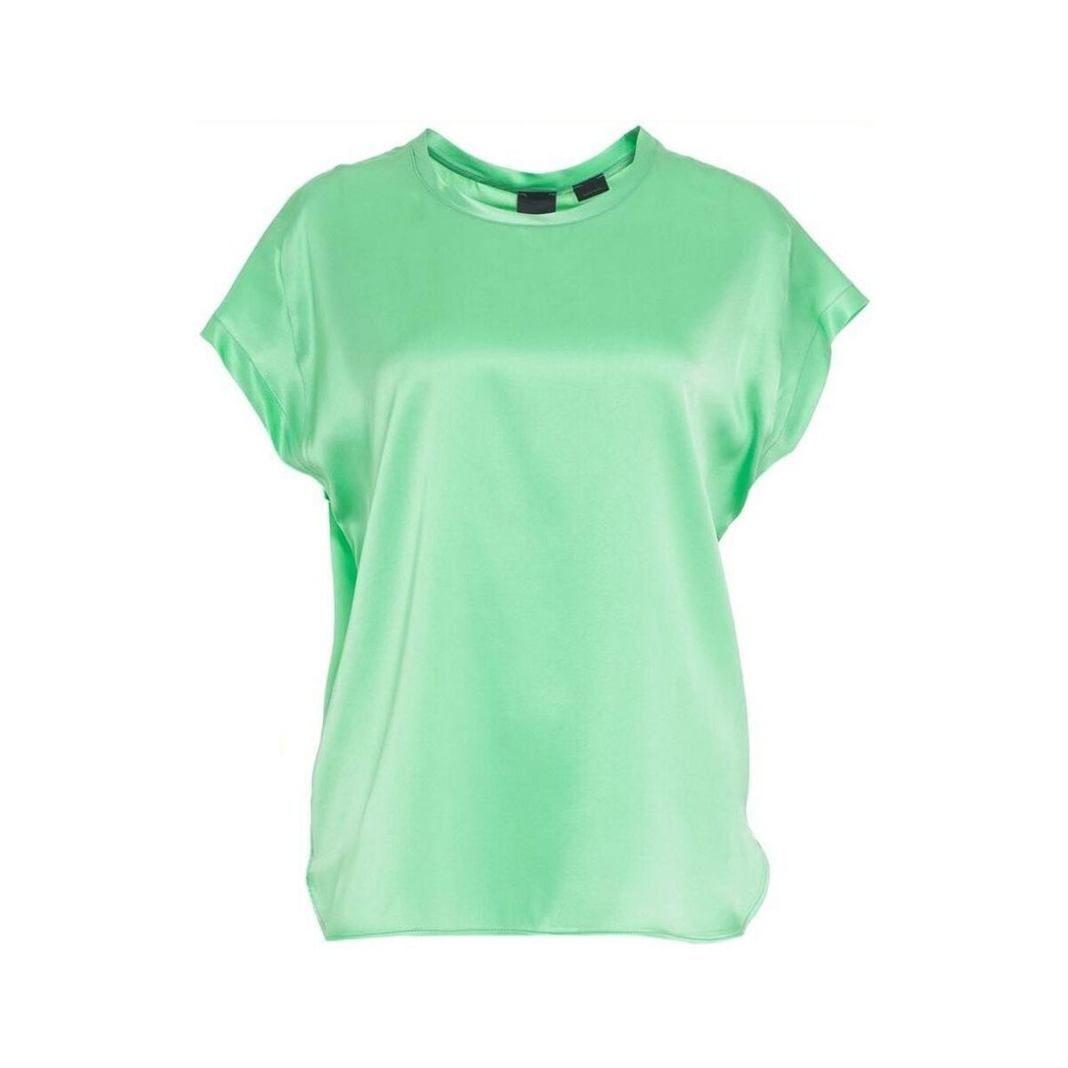 Kleidung Damen Hemden Pinko FARIDA 100100 A1RJ-T38 Grün