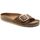 Schuhe Damen Sandalen / Sandaletten Birkenstock MADRID BIG BUCKLE 1006525-COGNAC Braun