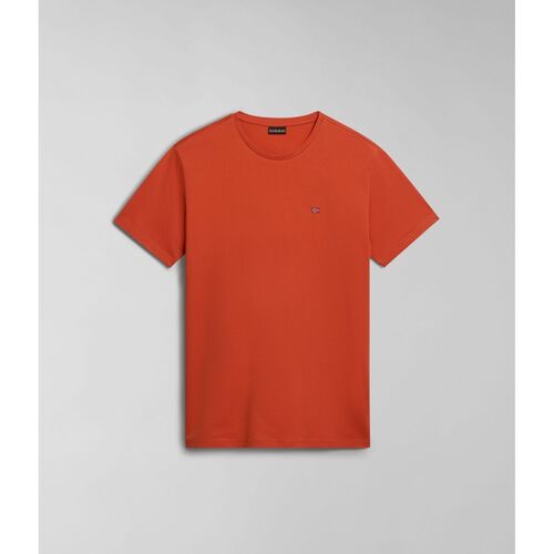 Kleidung Herren T-Shirts & Poloshirts Napapijri SALIS SS SUM NP0A4H8D-621 BURNT ORANGE Orange