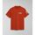 Kleidung Herren T-Shirts & Poloshirts Napapijri S-AMUNDSEN NP0A4H6B-A62 ORANGE BURNT Orange