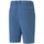 Kleidung Herren Shorts / Bermudas Puma 535522-15 Blau