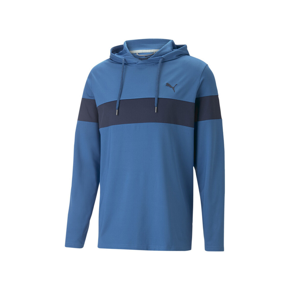 Kleidung Herren Sweatshirts Puma 620252-04 Blau