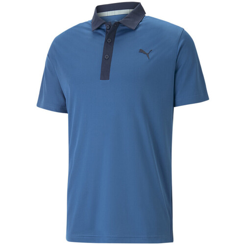 Kleidung Herren T-Shirts & Poloshirts Puma 599118-30 Blau
