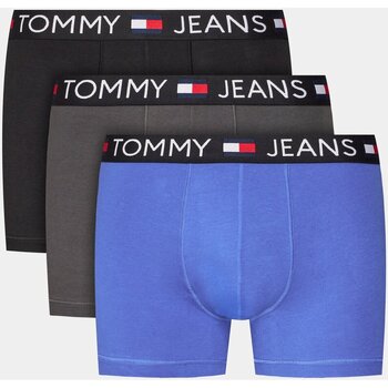 Unterwäsche Herren Boxer Tommy Jeans UM0UM03159 Multicolor