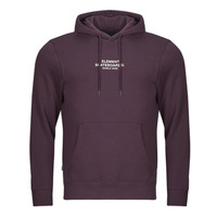 Kleidung Herren Sweatshirts Element SKATEBOARD CO HOOD Violett
