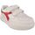 Schuhe Kinder Sneaker Diadora RAPTOR LOW Multicolor