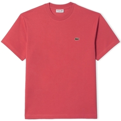Kleidung Herren T-Shirts & Poloshirts Lacoste Classic Fit T-Shirt - Rose ZV9 Rosa