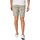 Kleidung Herren Shorts / Bermudas Tommy Jeans Scanton Chino Shorts Grau