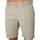 Kleidung Herren Shorts / Bermudas Tommy Jeans Scanton Chino Shorts Grau