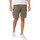 Kleidung Herren Shorts / Bermudas Tommy Jeans Gerade geschnittene Ethan-Cargoshorts Grün