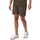 Kleidung Herren Shorts / Bermudas Weekend Offender Azeez Sweat-Shorts Grün