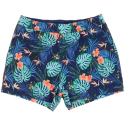 Kleidung Jungen Shorts / Bermudas Teddy Smith 62406681D Blau