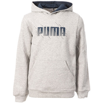 Kleidung Jungen Sweatshirts Puma 675216-04 Grau