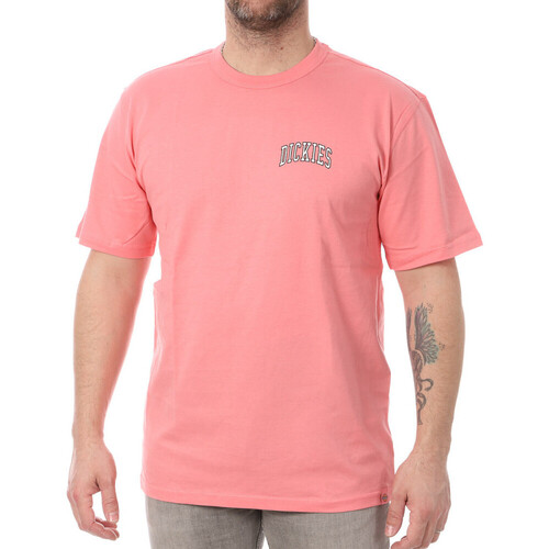 Kleidung Herren T-Shirts Dickies DK0A4Y8OG021 Rosa