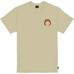 Kleidung Herren T-Shirts & Poloshirts Propaganda T-Shirt Gravesurfer Beige
