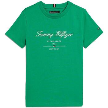 Kleidung Jungen T-Shirts & Poloshirts Tommy Hilfiger  Grün